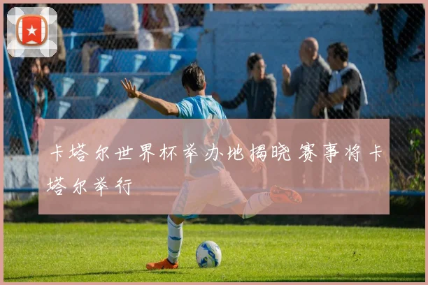 卡塔尔世界杯举办地揭晓 赛事将卡塔尔举行